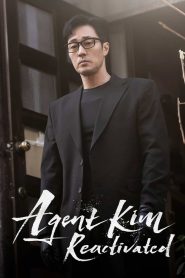 Agent Kim Reactivated: Season 1